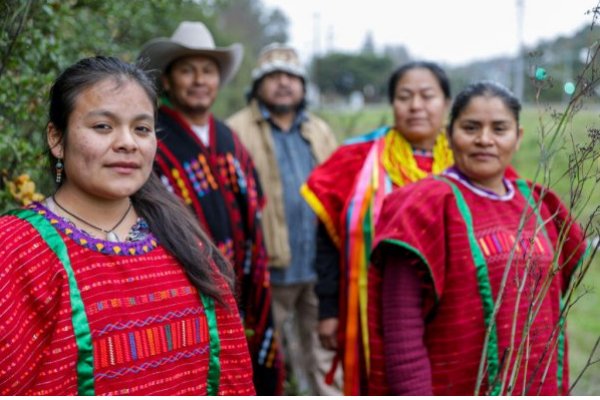 Oaxacan Festivals: A Celebration of Community and Heritage